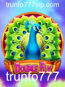 Explorando o Universo de DoubleFly: Inovação e Estratégia em Cada Movimento
